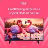 VIZIO 50??? 4K Resolution HDR Smart TV, Dolby Vision HDR/HDR10+, WiFi 6 ?C (Renewed)