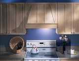 Broan-NuTone PM390 Power Pack Range Hood Insert Exhaust Fan and Light Combo for Over Kitchen Stove, 390 CFM, Silver