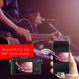 Panasonic Lumix LX100 II Large Four Thirds 21.7 MP Multi Aspect Sensor 24-75mm Leica DC VARIO-SUMMILUX F1.7-2.8 Lens Wi-Fi and Bluetooth Camera with 3 LCD, Black (DC-LX100M2)