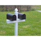 Cook Products Handy Double Mailbox Post